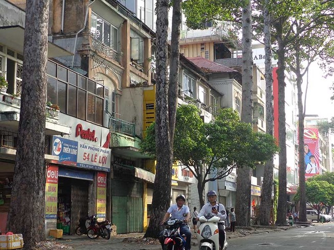 Đốn hạ, di dời 28 cây xanh ở đường Lê Lợi