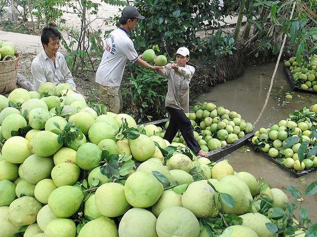 Những kiểu làm ăn ‘lạ đời’ của thương lái Trung Quốc