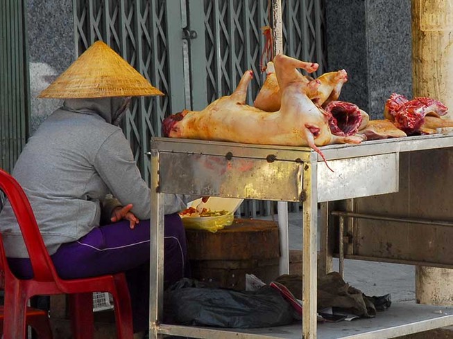 Chó xà mâu, chó trúng bả thành thịt ngon!