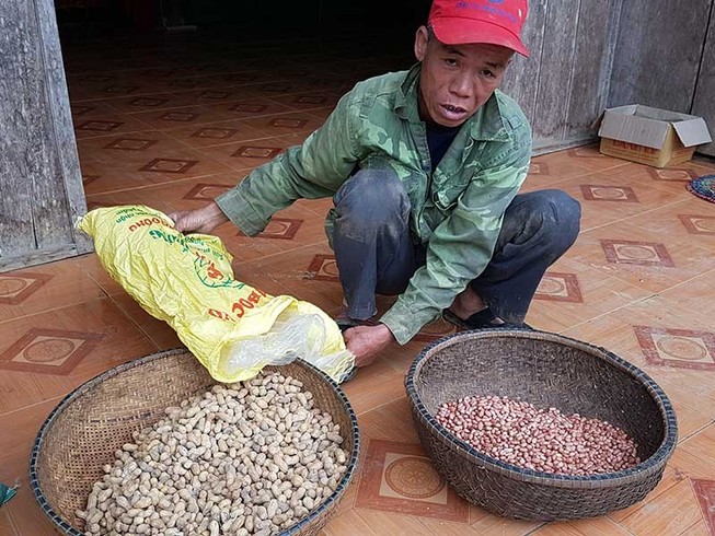 Đề nghị xử lý chủ tịch huyện vụ phát giống đậu dỏm
