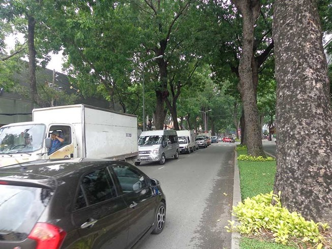 Xử lý hàng cổ thụ để xây cầu Thủ Thiêm 2