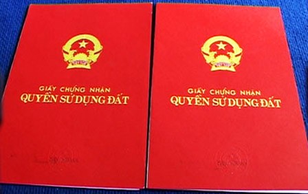 Nhờ văn phòng đất đai kiểm tra, lòi ra giấy nhà giả