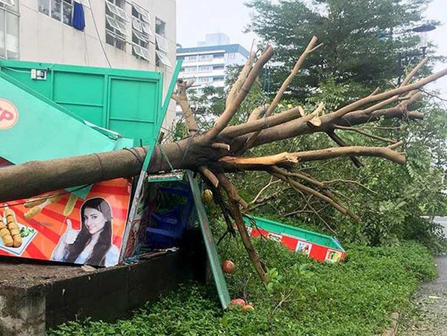 Mưa to từ Nam Trung bộ đến các tỉnh miền Tây