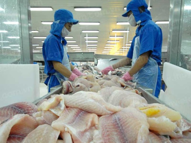 Nguy cơ thủy sản bị ‘vạ lây’ tàu Trung Quốc