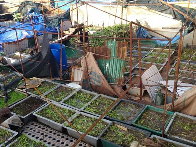 Bão quét qua Trường Sa, Côn Đảo