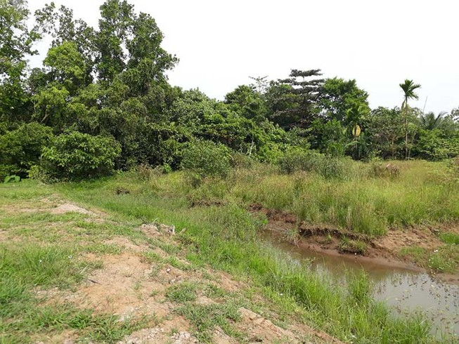 Đất sang tên chủ mới ‘rơi’ mất 33 m2