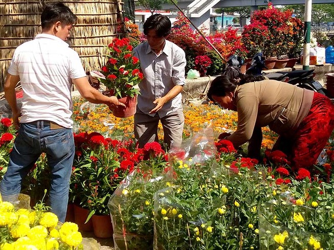 Khống chế điểm bán hoa Tết, nên chăng?