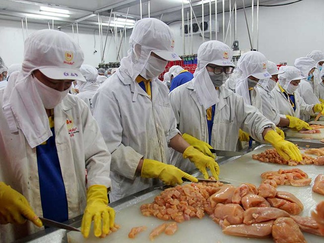 Năm 2018, TP.HCM tập trung tạo đột phá