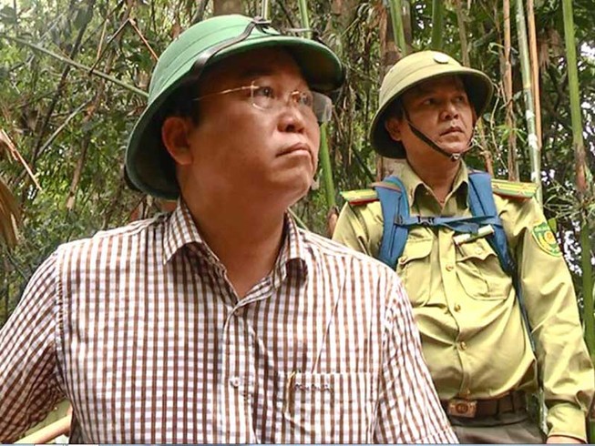 Quảng Nam tung chiêu dẹp phá rừng