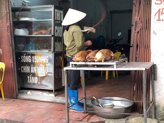 Khuyến khích dân không ăn thịt chó: Văn minh