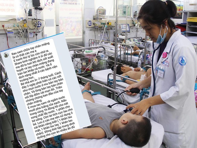 Trị bệnh tay-chân-miệng bằng... rau sam, lá bàng
