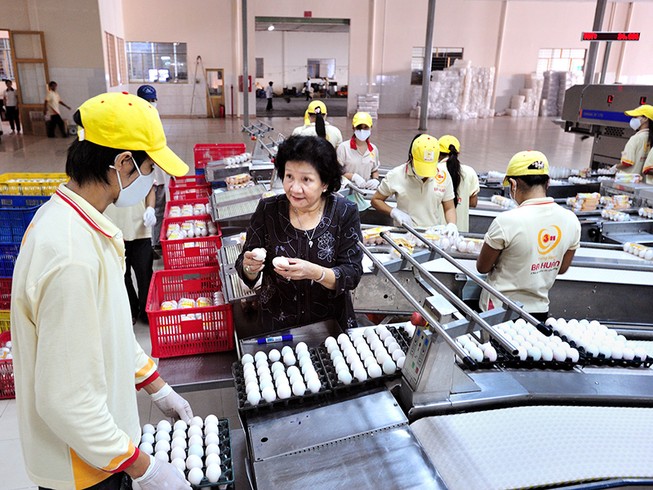 ‘Hôn nhân’ quỹ đầu tư với doanh nghiệp liên tục tan vỡ