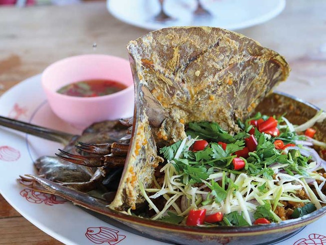 Đến cửa sông thưởng thức sam biển Cần Giờ