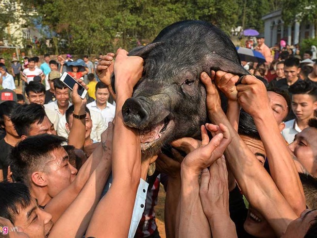 Năm 2020, không còn cảnh đâm trâu, chém heo trong lễ hội?