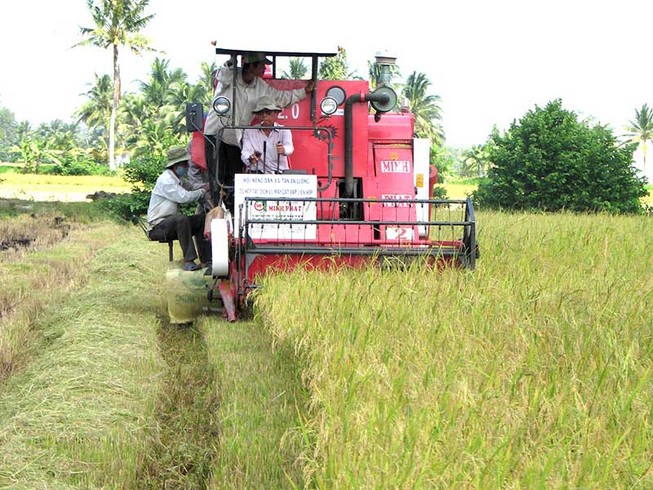 Vựa lúa gạo của cả nước chờ được ‘giải cứu’