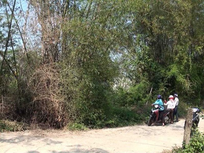 Cò đất náo loạn miền Trung: Bờ tre, gốc rạ đổi ra tiền tỉ