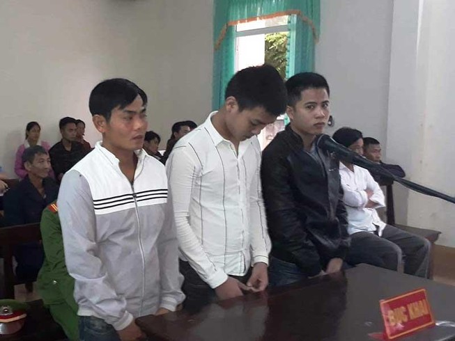 Trộm 70 con gà, 1 con bò, 3 thanh niên lãnh 50 tháng tù