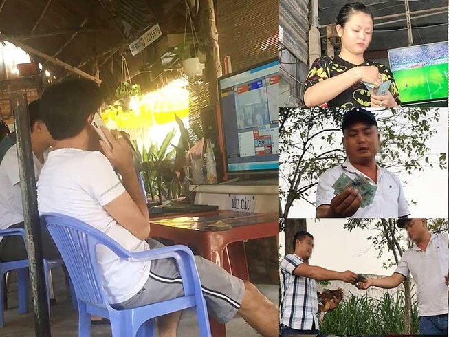 ĐIỀU TRA: Báo tin các sới gà, tám ngày sau... vẫn như cũ