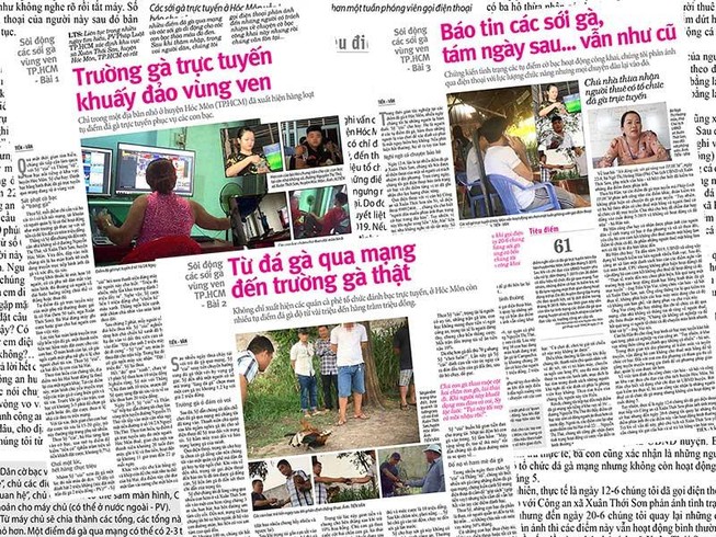 Hóc Môn kiểm tra dấu hiệu bảo kê các sới gà trực tuyến
