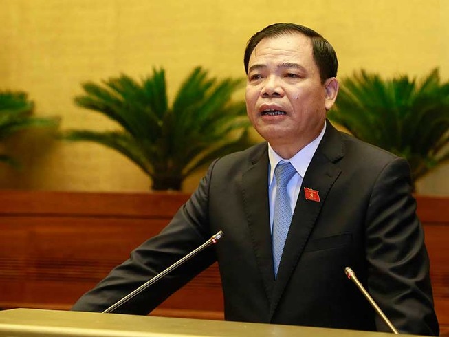 Sắp đưa vụ tàu vỏ thép dỏm ra xét xử