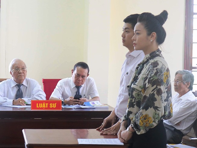 Kháng nghị vụ ca sĩ Nhật Kim Anh kiện nuôi con