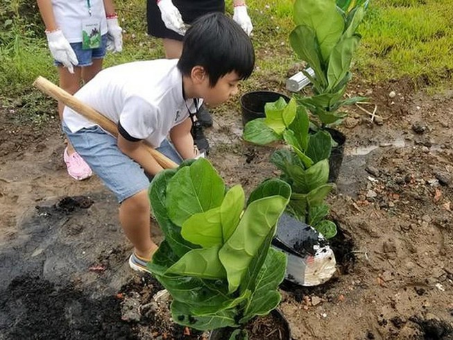 TP.HCM đẩy mạnh phát triển mảng xanh trên toàn TP