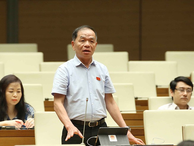 Quốc hội bàn về tính chuyên nghiệp của đại biểu