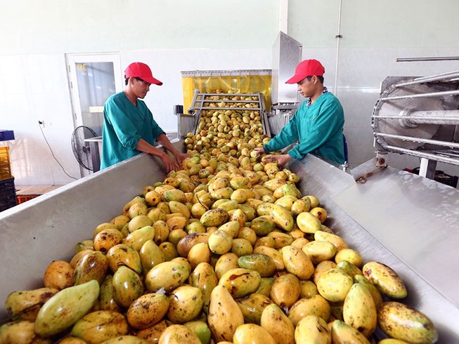 Việt Nam đặt mục tiêu vào nhóm nước nông nghiệp phát triển