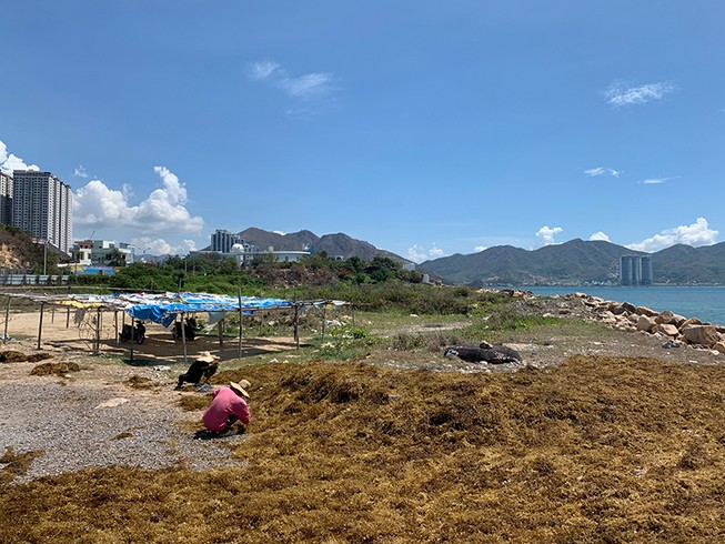 Nhùng nhằng thu hồi dự án lấn biển trái phép ở Nha Trang