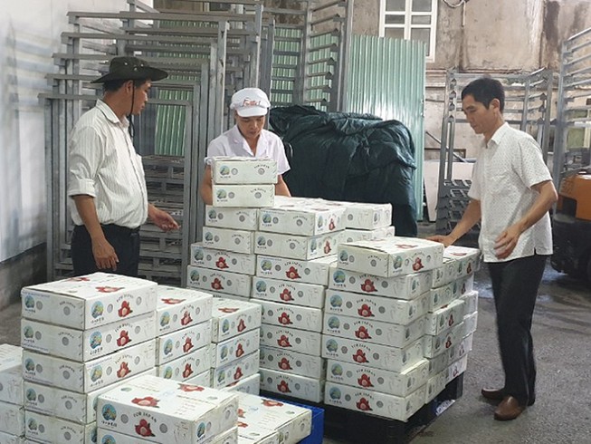 Nghịch lý: Phí vận chuyển nội địa đắt hơn đi Mỹ, Pháp
