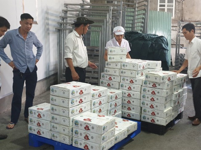 Phí vận chuyển tăng cao làm khó doanh nghiệp