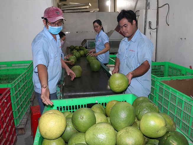 Mỹ mở rộng thêm cửa với nông sản Việt