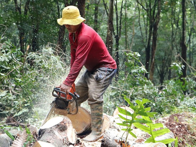Đồng Nai giao 1.800 ha đất làm sân bay Long Thành