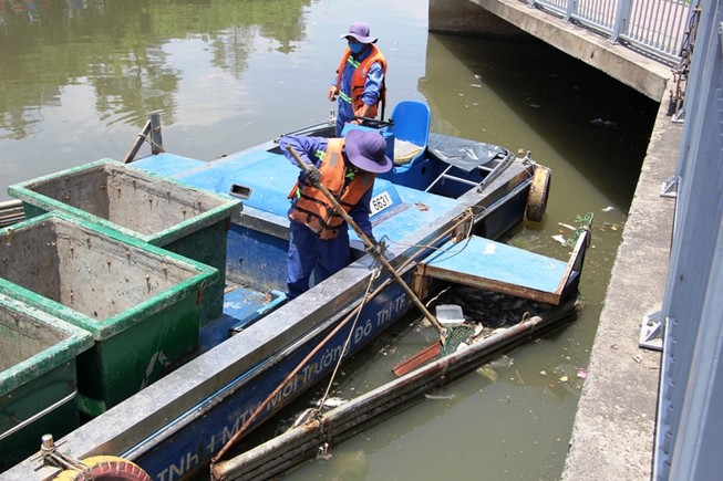 Sài Gòn mưa trái mùa, cá ngoi ngóp chết