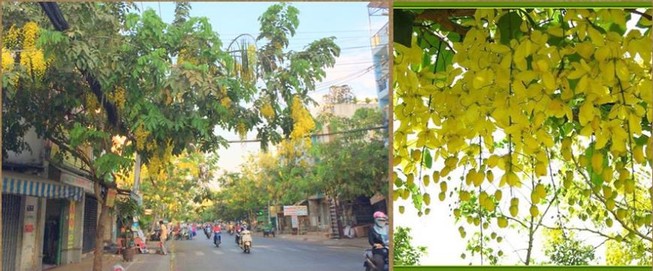 'Em có muốn biết người anh yêu thương, hôm nào anh giới thiệu...'