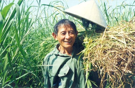 Tiết lộ thú vị về Anh hùng Hồ Giáo và nguyên mẫu anh Nhẫn trong “Cỏ non“