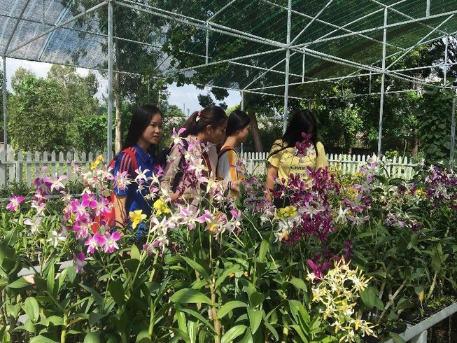 Ngắm khu vườn Đà Lạt trong khuôn viên trường Đại học ở Sài Gòn