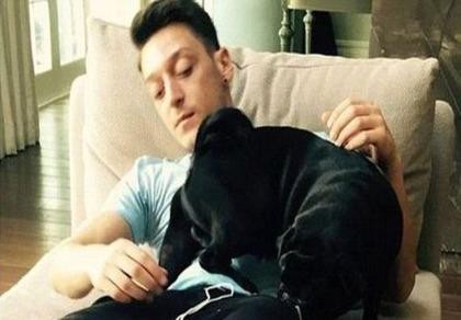 Mesut Ozil chơi bóng với cún cưng Paul Pugboa