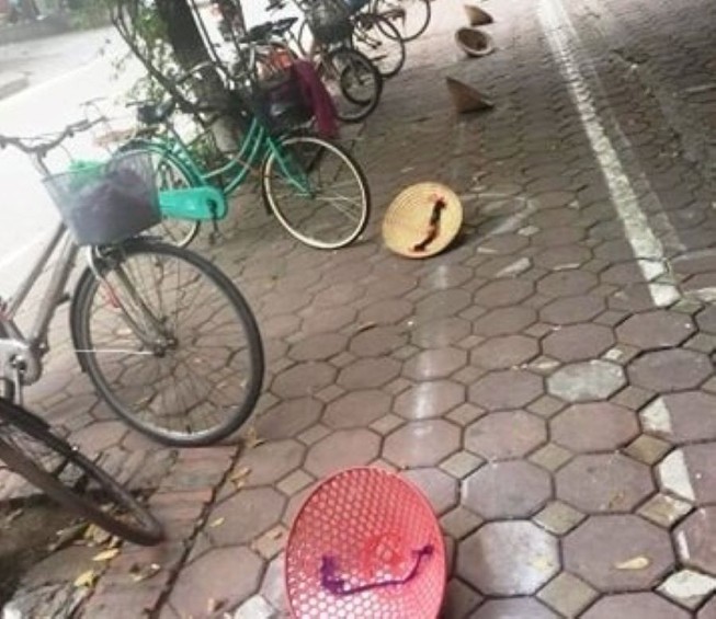 Người dân xếp hàng bằng nón và chậu quất để nhận thực phẩm