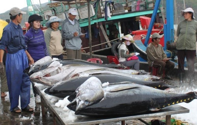 Nhiều mặt hàng hải sản thế mạnh của Việt Nam được miễn thuế nhập khẩu vào Trung Quốc.