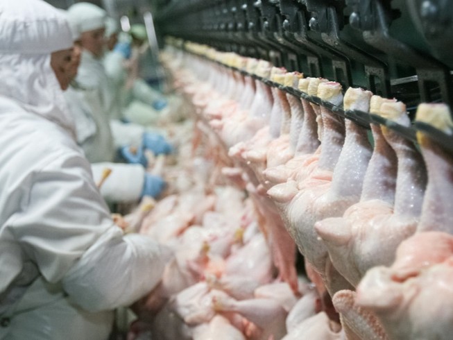 Một công dân Malaysia bị phạt tù tại Singapore vì biển thủ thịt gà. Ảnh: IEG POLICY