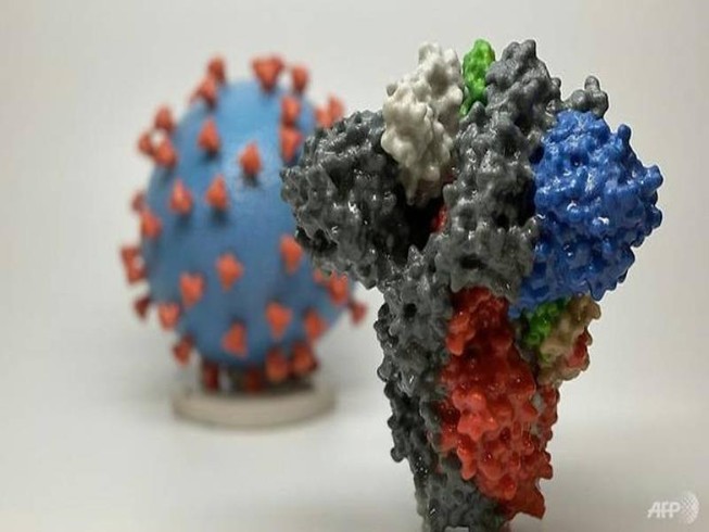 Các nhà khoa học Hà Lan tìm được một loại kháng thể có thể ngăn chặn virus gây dịch COVID-19. Ảnh minh họa: AFP
