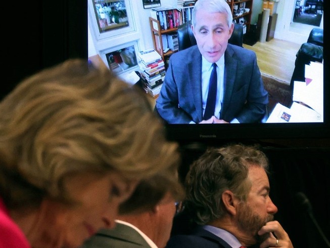 TS Anthony Fauci trong phiên điều trần trực tuyến trước Thượng viện ngày 12-5. Ảnh: CNN