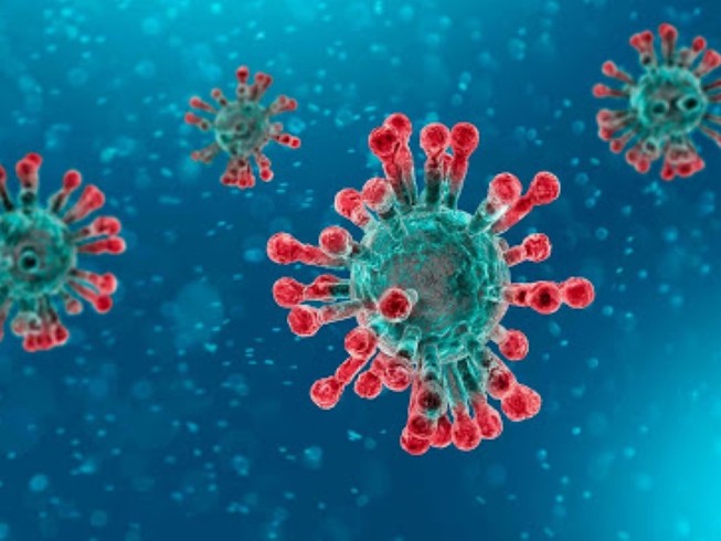 Hình minh hoạ cấu trúc của virus SARS-CoV-2. Ảnh: CNN