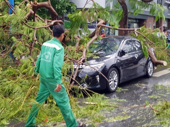Cần Thơ: Giông lốc làm cây xanh ngã đổ, 9 ô tô hư hỏng nặng