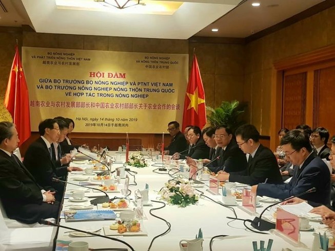 Trung Quốc muốn hợp tác với Việt Nam chống rầy nâu