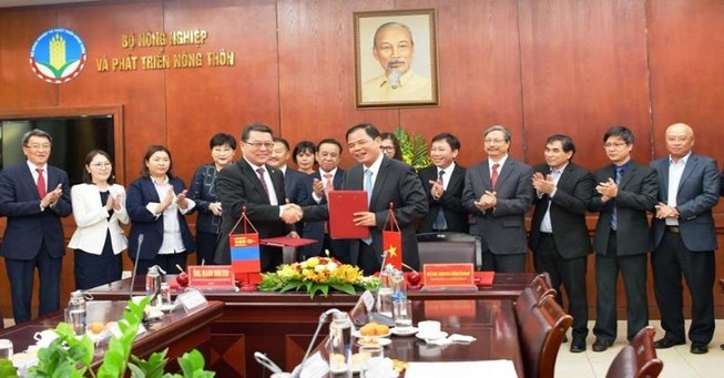 Mông Cổ muốn bán nhiều sản phẩm từ xương ngựa vào VN