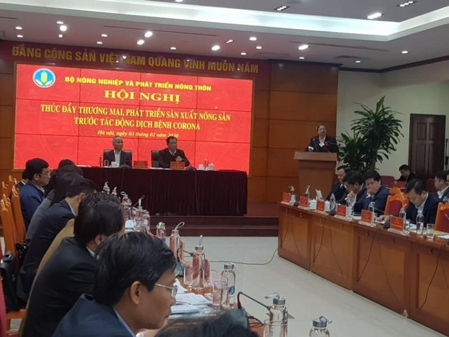 Bộ trưởng: 'Nông nghiệp tổn thương nhiều nhất vì dịch Corona'