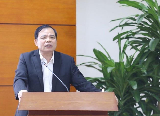 'Ngay lập tức giảm giá heo hơi xuống 75.000 đồng/kg'