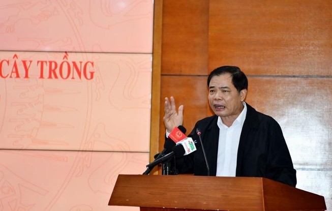 Bộ trưởng Nguyễn Xuân Cường lý giải giá heo vẫn cao